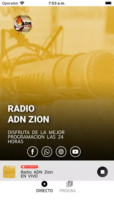 Zrzuty ekranu Radio ADN Zion