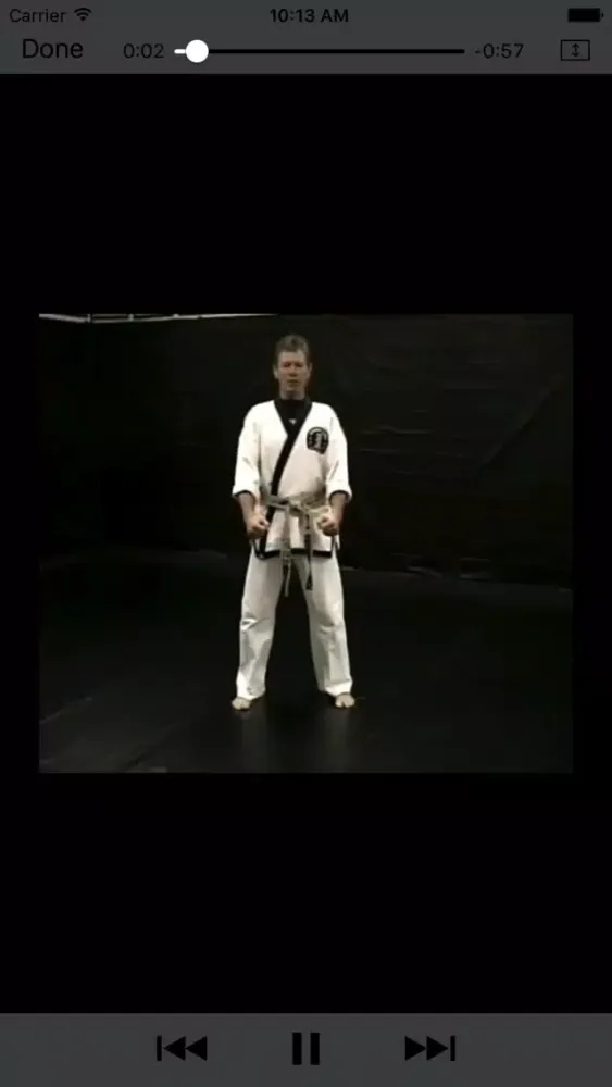 تصاویر Johnny Gyro Karate