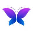 Butterfly Photo Frames