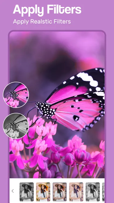 Butterfly Photo Frames سکرین شاٹس