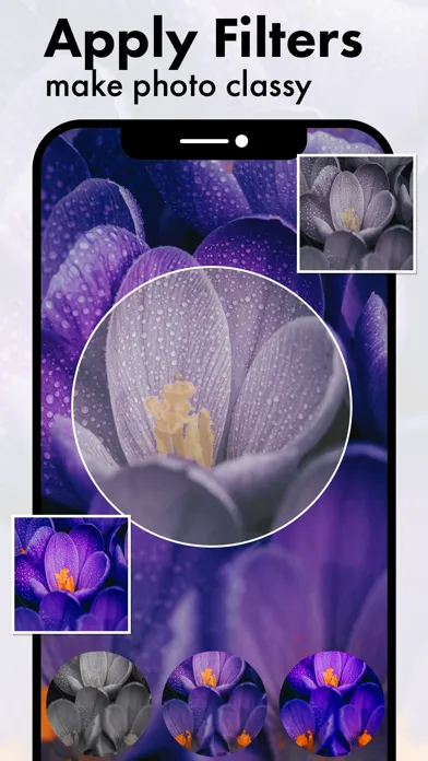 Tangkapan skrin Purple Flower Photo Frames