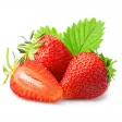 California Strawberry Stickers California Strawberry Stickers