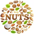 Nuts Stickers Pack