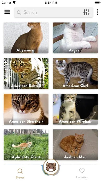 تصاویر Cats Pedia: Breed identifier
