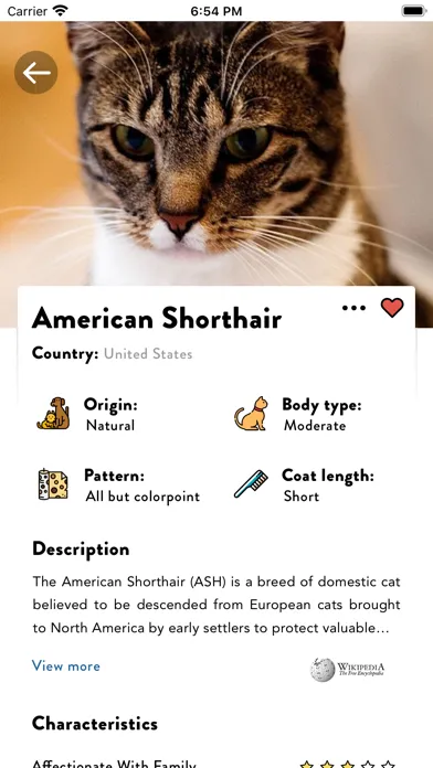 تصاویر Cats Pedia: Breed identifier