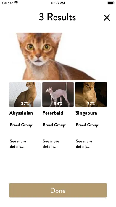 تصاویر Cats Pedia: Breed identifier