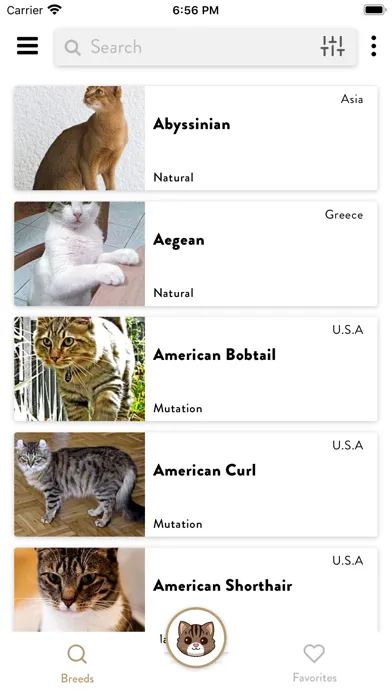 تصاویر Cats Pedia: Breed identifier