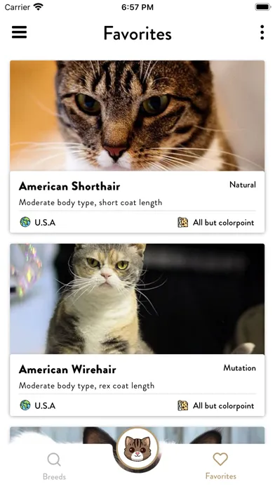 تصاویر Cats Pedia: Breed identifier