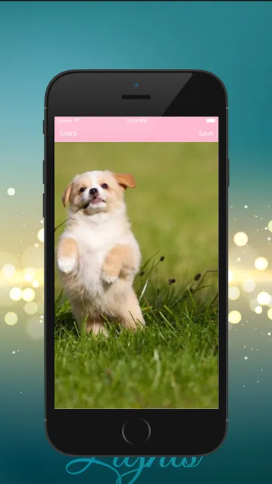 Capturas de tela do Dog HD Wallpaper
