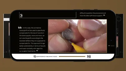 Screenshot di Quintessence The big Picture
