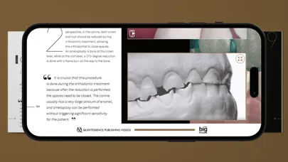 Screenshot di Quintessence The big Picture