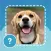 Quiz guess all cute dog breeds