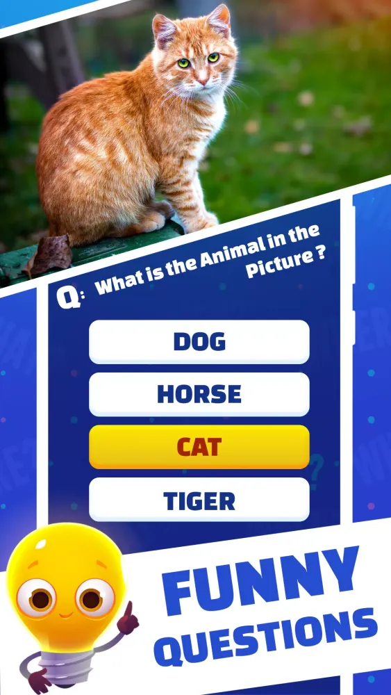 Brain Teasers: IQ Brain Test スクリーンショット