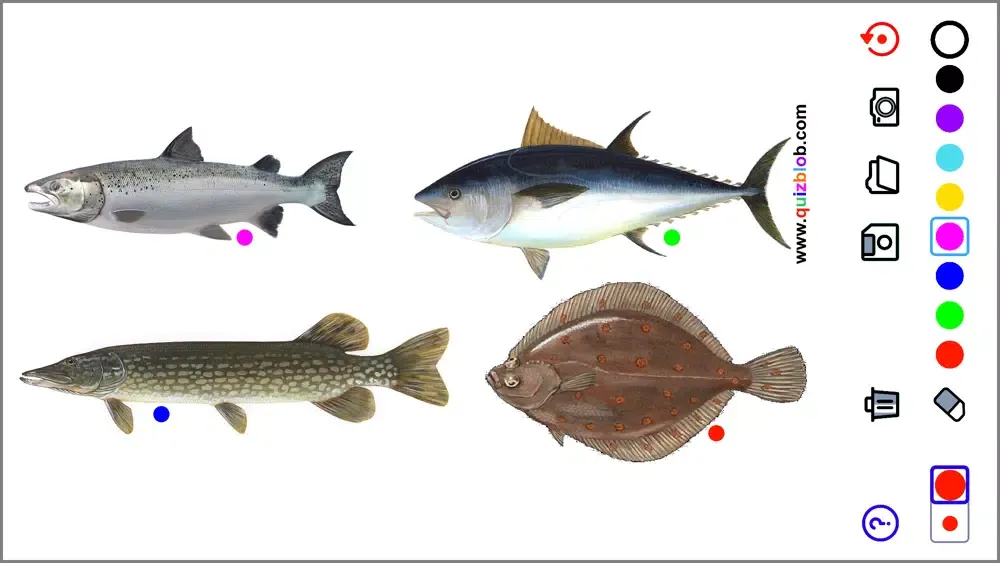 Quiz Blob स्क्रीनशॉट