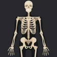 Anatomy Quiz: Science Trivia