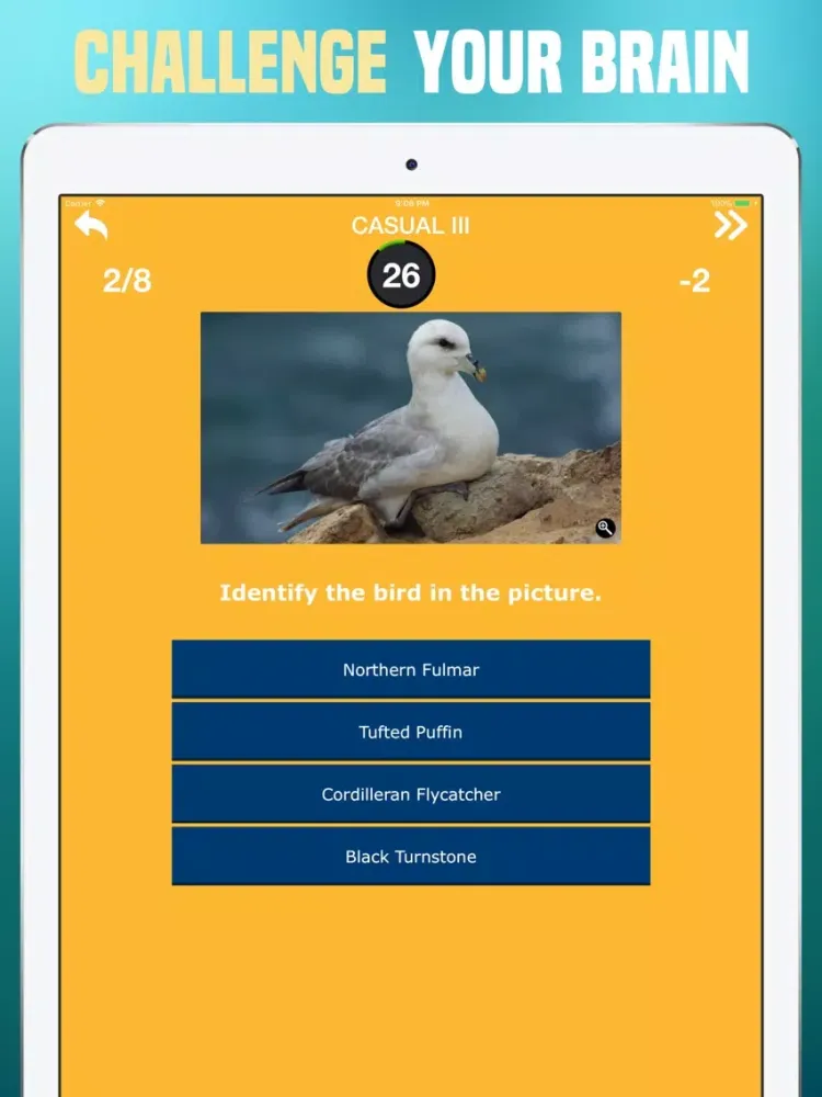 Birds Quiz - Birding Trivia iPad  स्क्रीनशॉट