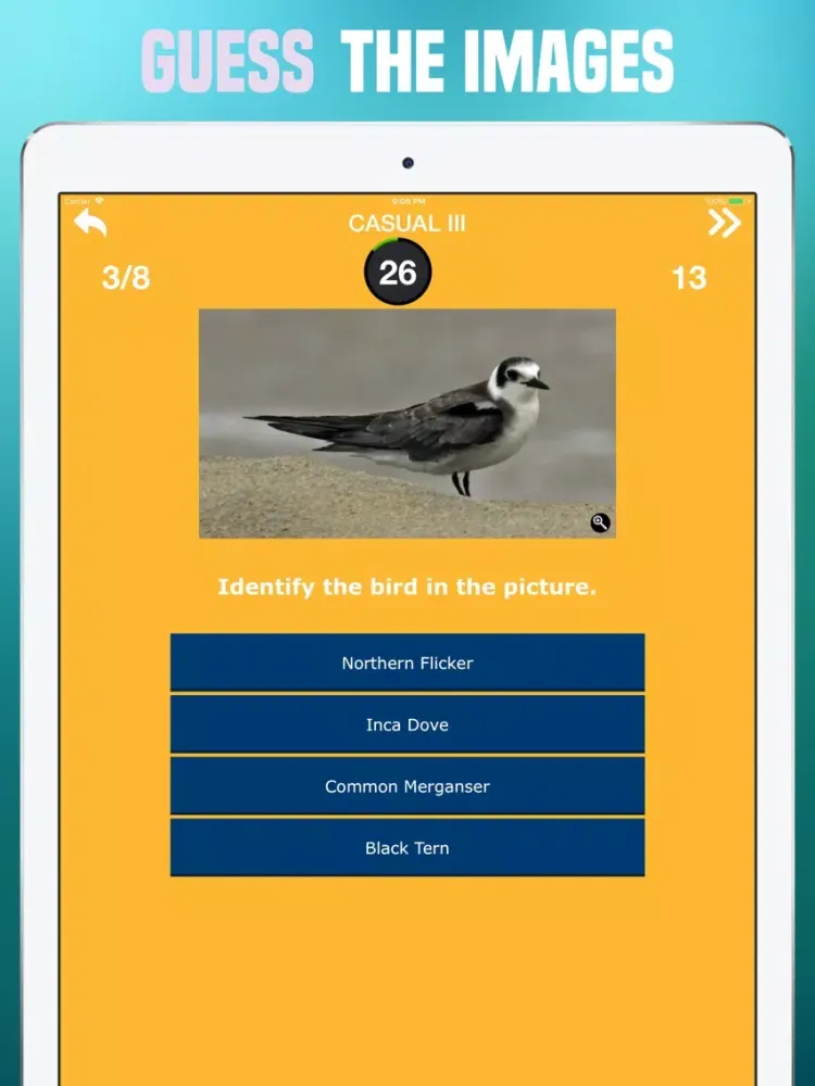 Birds Quiz - Birding Trivia iPad  स्क्रीनशॉट