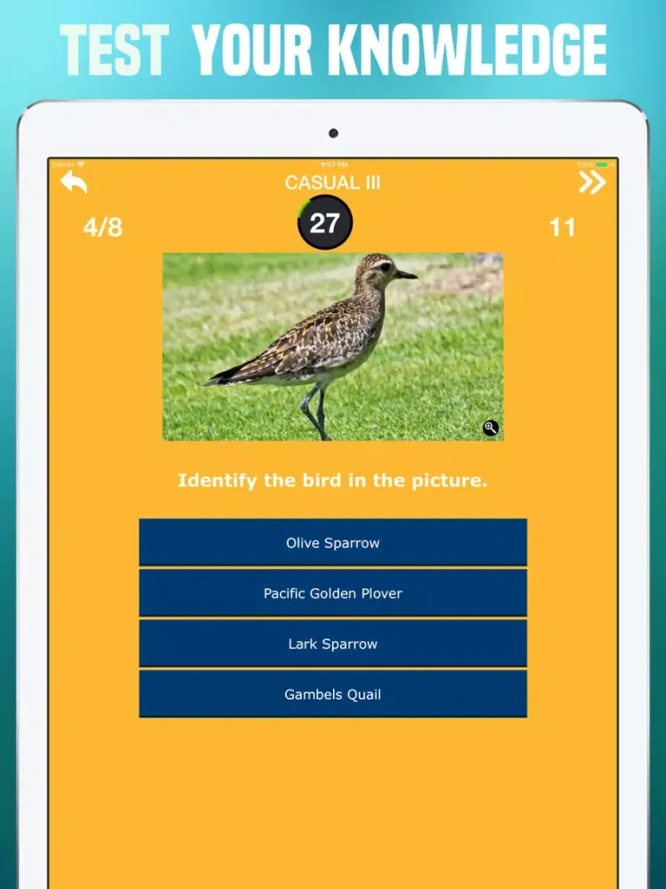 Birds Quiz - Birding Trivia iPad  स्क्रीनशॉट