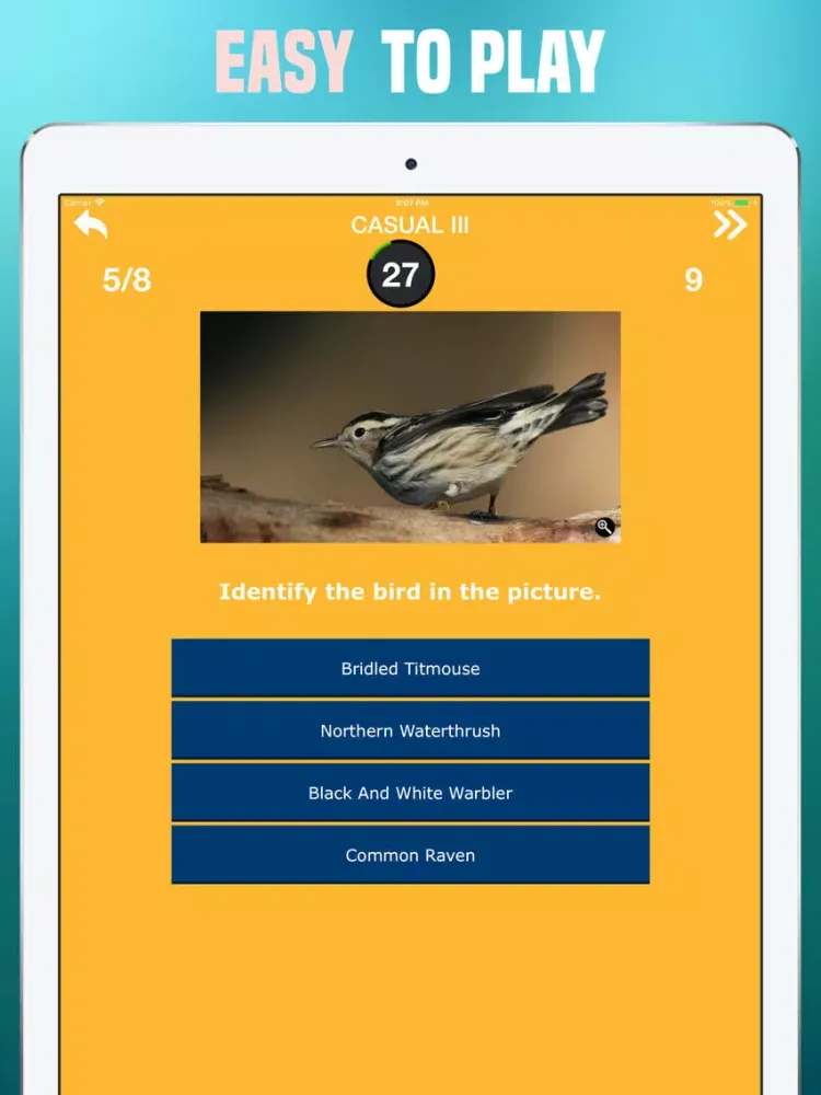 Birds Quiz - Birding Trivia iPad  स्क्रीनशॉट