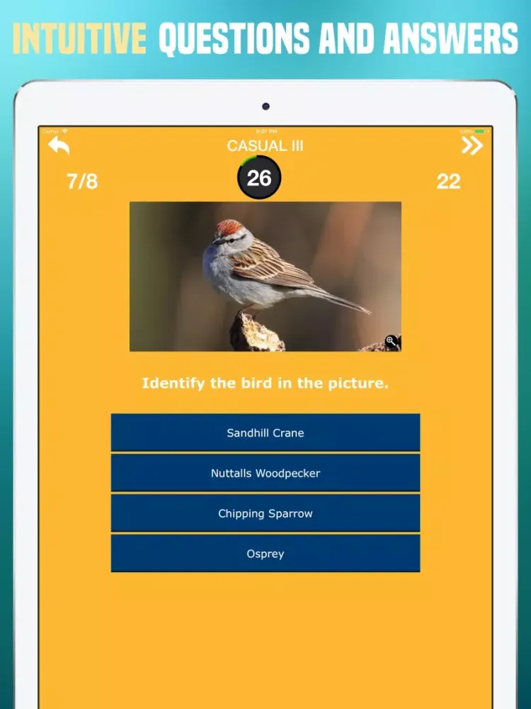 Birds Quiz - Birding Trivia iPad  स्क्रीनशॉट