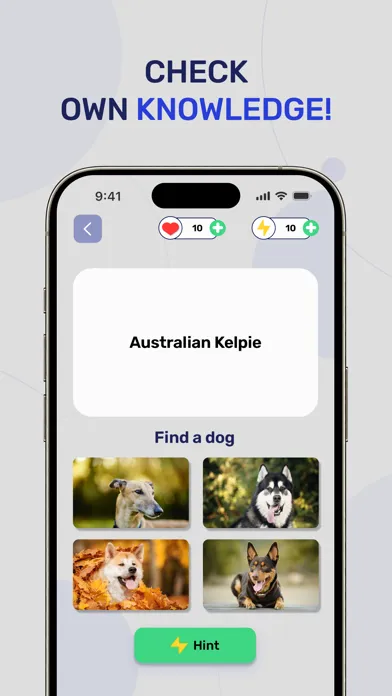 Dog Breeds - Quiz Guess Game سکرین شاٹس