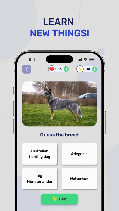 Dog Breeds - Quiz Guess Game سکرین شاٹس