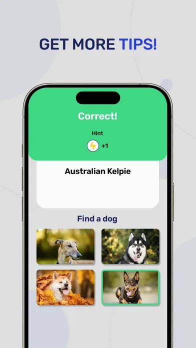 Dog Breeds - Quiz Guess Game سکرین شاٹس