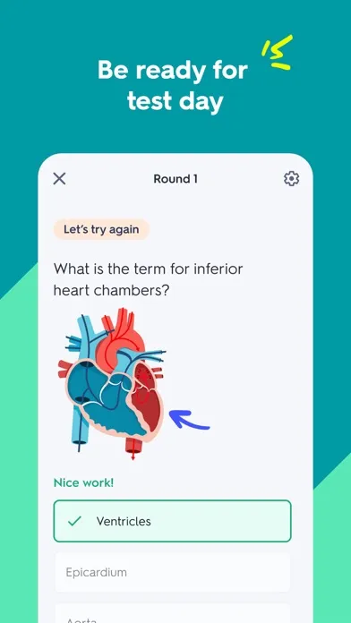 Captures d'écran de Quizlet: AI-powered Flashcards