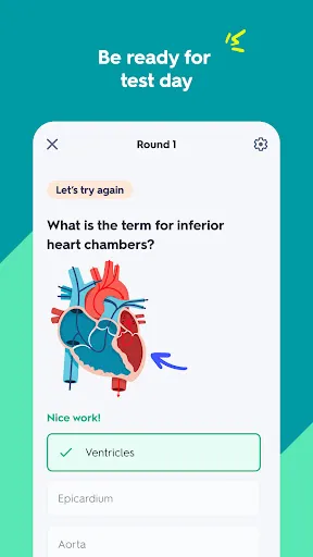 Ảnh chụp màn hình của Quizlet: AI-powered Flashcards