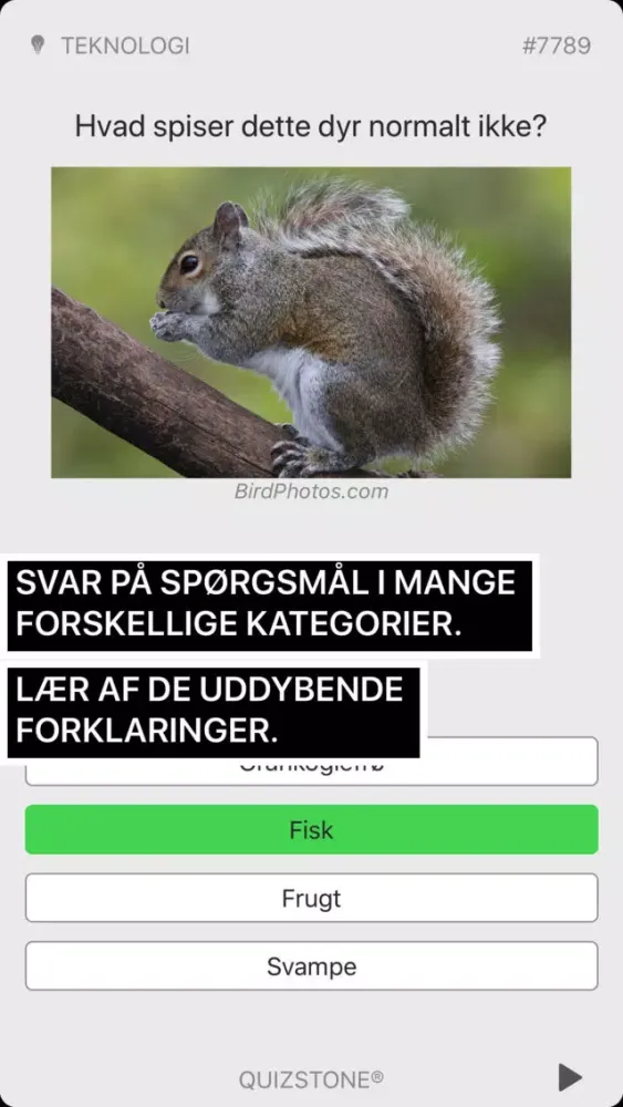 Hvem ved mest? Junior 1 سکرین شاٹس