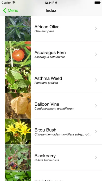 تصاویر Environmental Weeds of Sydney