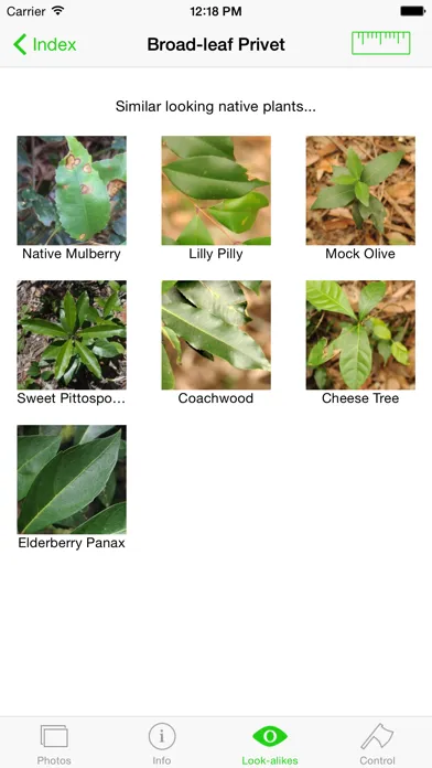 تصاویر Environmental Weeds of Sydney