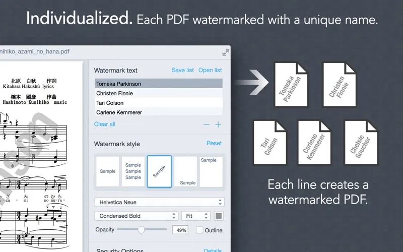 Screenshot di Bronson Watermarker PDF