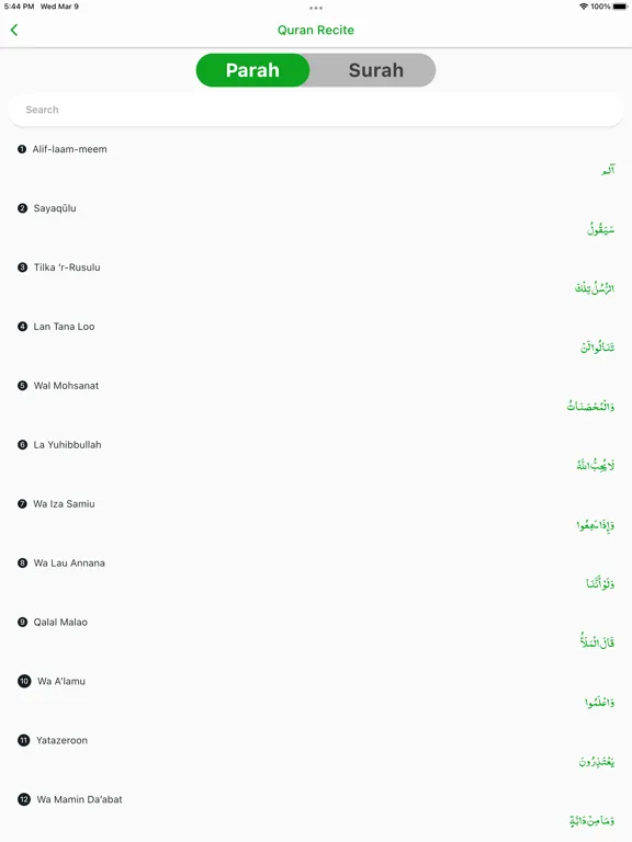 Quran e Mubeen iPad 应用截图