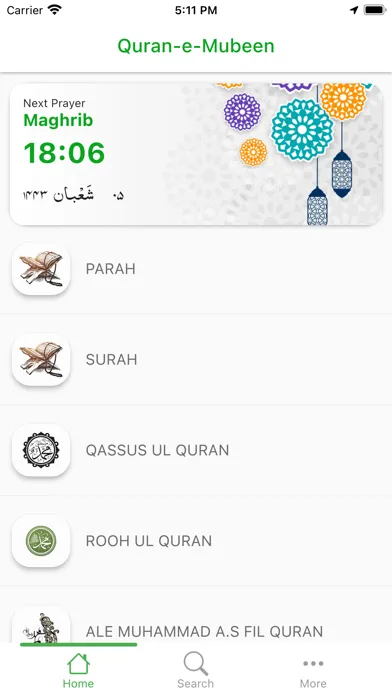 Quran e Mubeen应用截图