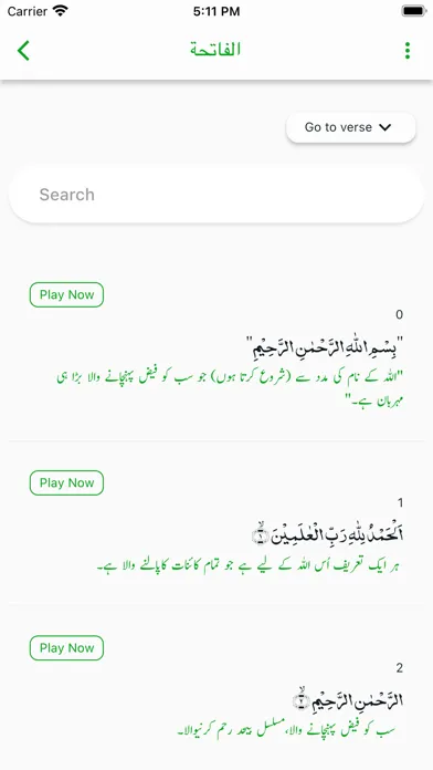 Quran e Mubeen应用截图