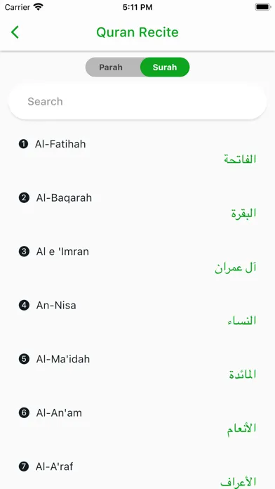 Quran e Mubeen应用截图