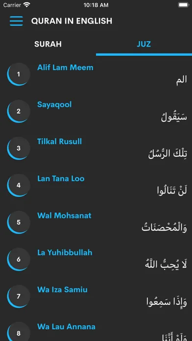 The Quran in English应用截图