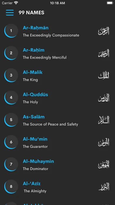 The Quran in English应用截图