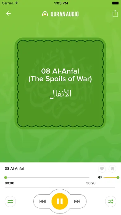 Quran Audio - Sheikh Mishary Rashid Alafasy Screenshots