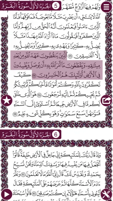 Capturas de tela do Holy Quran Complete Recitation by Fares Abbad