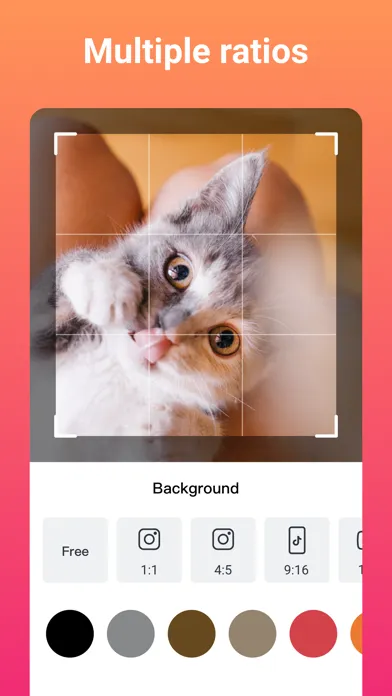 Tangkapan layar Slideshow Maker (SlidePlus)