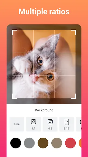 SlidePlus  -  Slideshow Maker应用截图