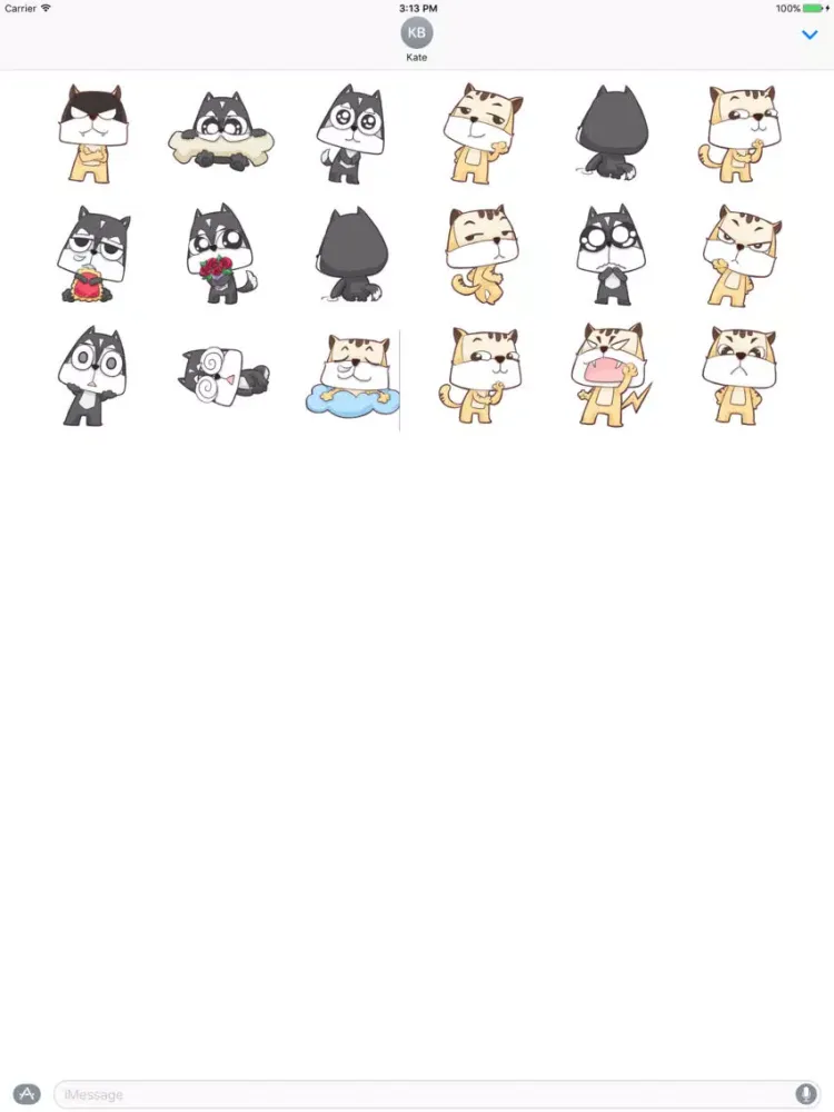 تصاویر Wise cat Cranky tiger iPad 