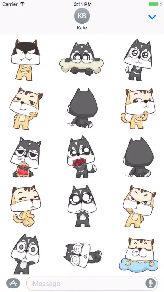 تصاویر Wise cat Cranky tiger