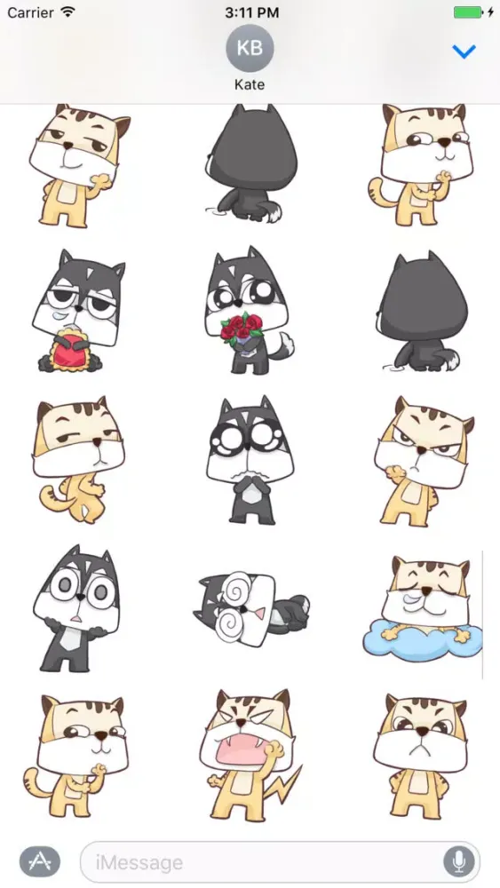 تصاویر Wise cat Cranky tiger