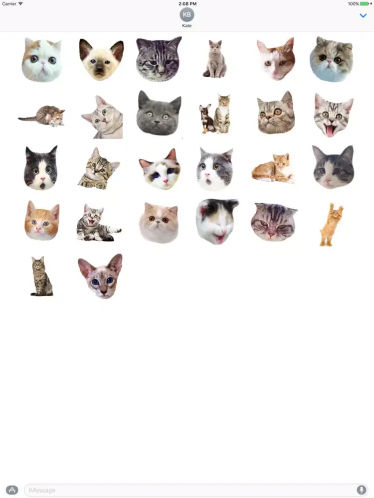 Cute cat with emotion face sticker pack iPad  Screenshots