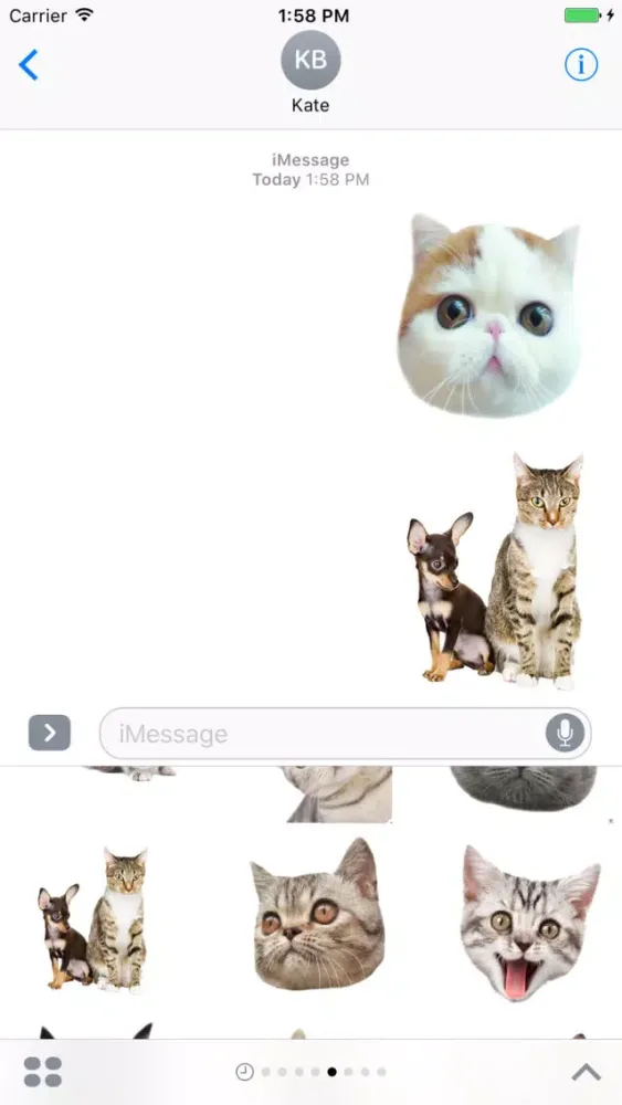 Cute cat with emotion face sticker pack Screenshots