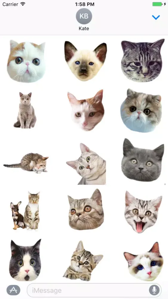 Cute cat with emotion face sticker pack Screenshots