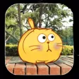 Frank the Cat - animated stickers pack Frank the Cat - animated stickers pack